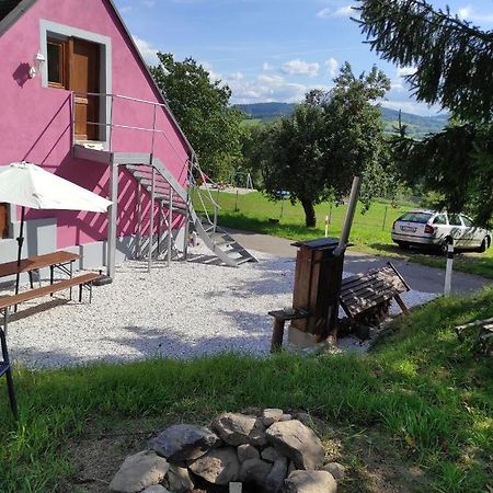 Apartman Sumava U Rybaku Volenice  Zewnętrze zdjęcie