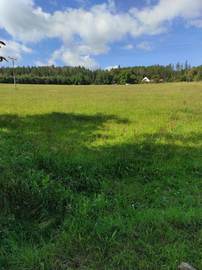 Apartman Sumava U Rybaku Volenice  Zewnętrze zdjęcie