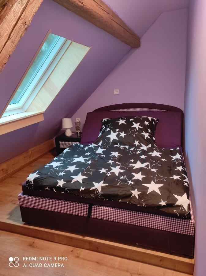 Apartman Sumava U Rybaku Volenice  Zewnętrze zdjęcie