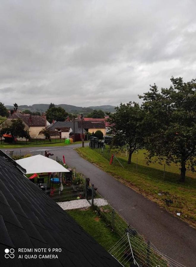 Apartman Sumava U Rybaku Volenice  Zewnętrze zdjęcie